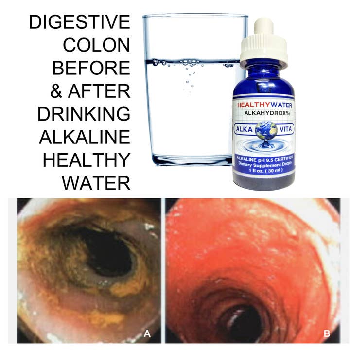 AlkaVita - Wholesale Oral Supplement/Vitamin - Alkaline Healthy Water pH 9.5 University Certified 9 Gallon