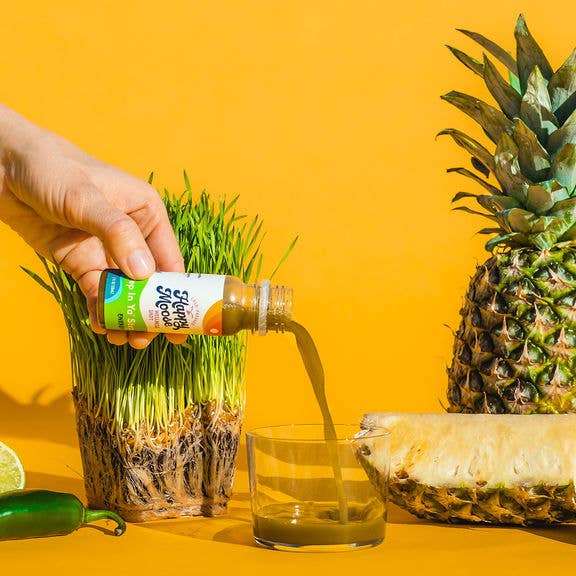 Happy Moose Juice - Wholesale Wellness Juice/Tonic - Wellness Shots - Variety Pack - 1 Case of Each Recipe10