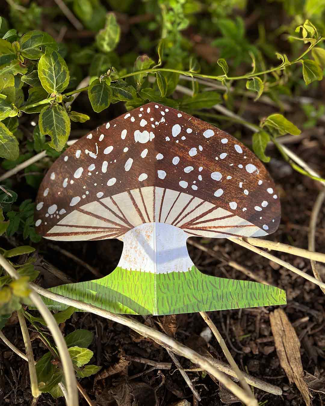 Mortlake Papers - Wholesale Everyday Greeting Card - Brown Mushroom Shaped Greeting Card5