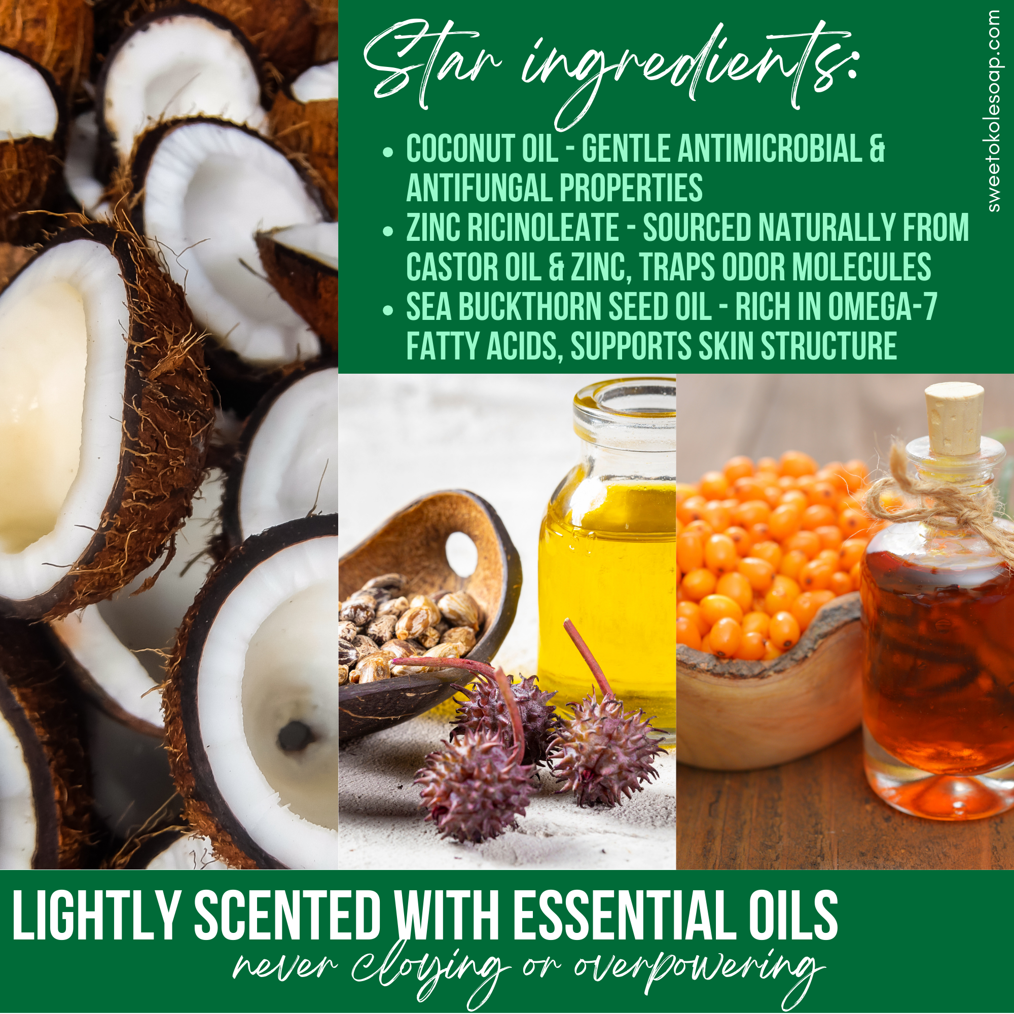 Sweet ʻŌkole Soap Co. - Wholesale Deodorant - Unisex - Natural Lavender Deodorant Balm for Sensitive Skin1