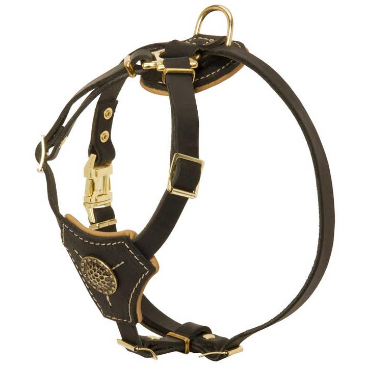 Tracking Walking Leather Dog Harness for Puppies for wholesale by FDT Global LLC