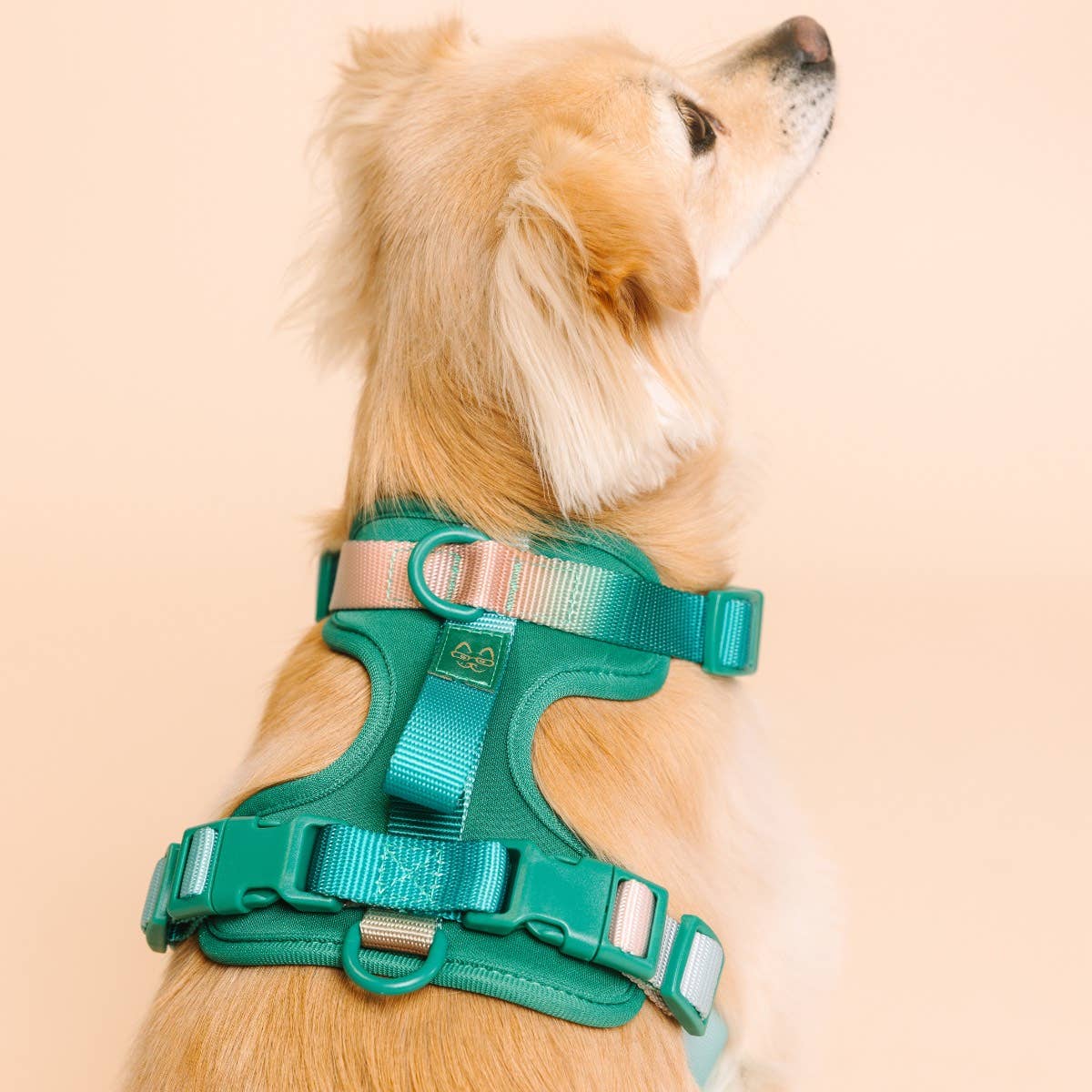 Pink Papyrus | Premium, Durable, & Stylish Dog Products - Wholesale Pet Harness - Dog - Parker Dog Harness | Green No Pull Multi Walk Style Harness3