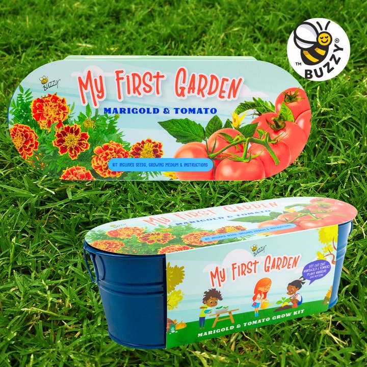 Buzzy Seeds Grow Gifts - Wholesale Plant Seeds - My First Garden Windowsill Grow Kit – Marigold & Tomato1