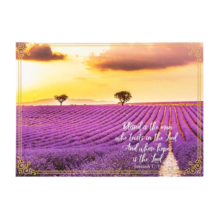 Divinity Boutique - Wholesale Birthday Card - Boxed Cards: Birthday For Him, Canoe, Elk, River and Field