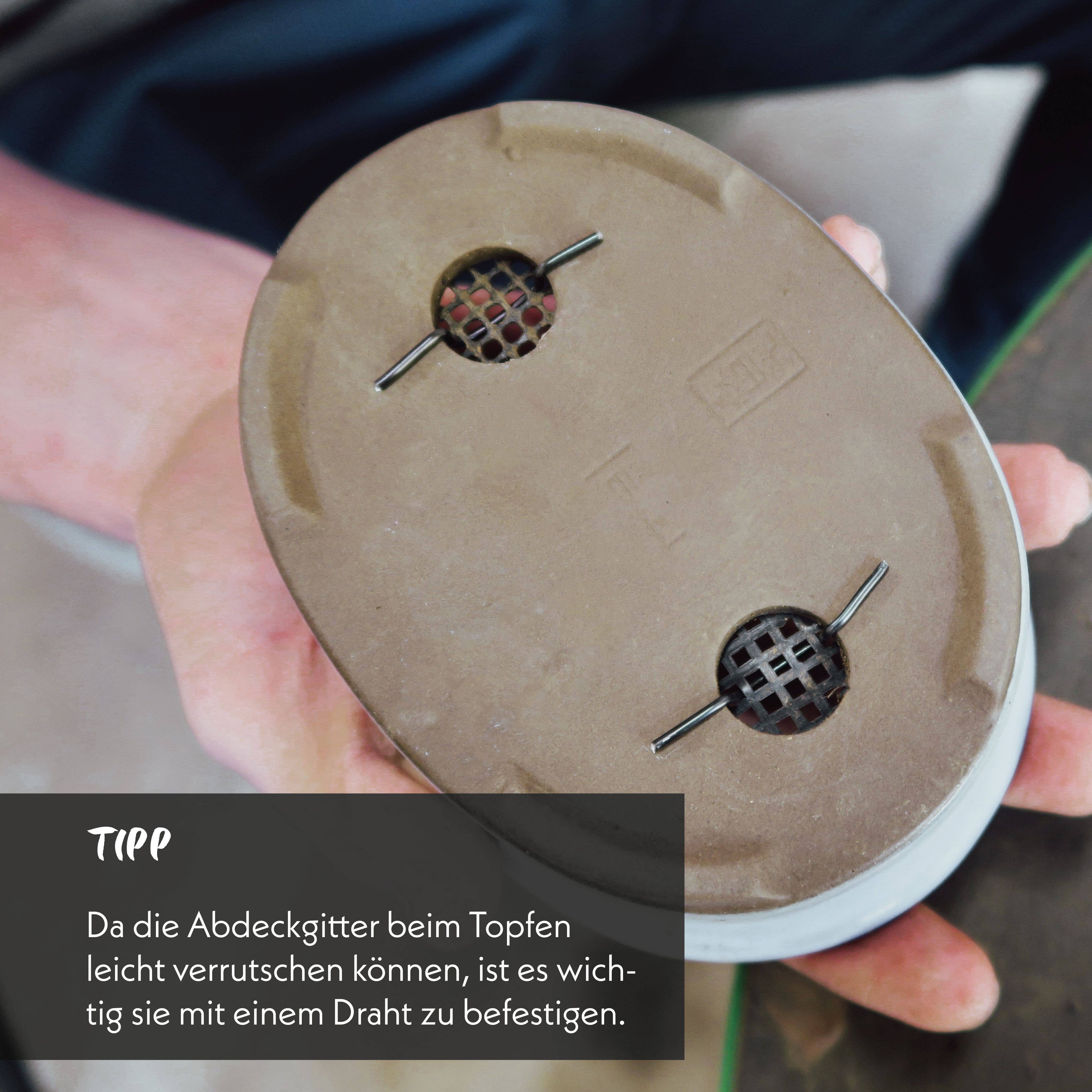 Vendix GmbH - Wholesale Garden Tool - HappySeed set of 10 bonsai plastic cover nets, black5