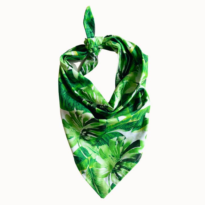 Monty Dog Bandana | Monstera Palm Leaves Tropical Vacation for wholesale by Camp Hound