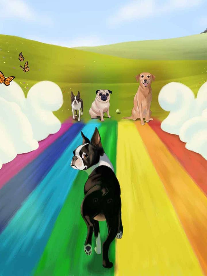 Boston Terrier gift, rainbow bridge Boston Terrier Art for wholesale by Brian Rubenacker studios