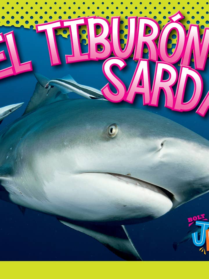 El mundo de tiburones: El tiburon sarda für den Großhandel von Black Rabbit Books