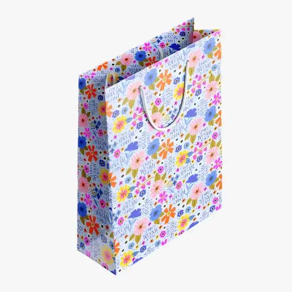 Disrupted Industries - Wholesale Gift bag - For a Special Cunt Gift Bag 2