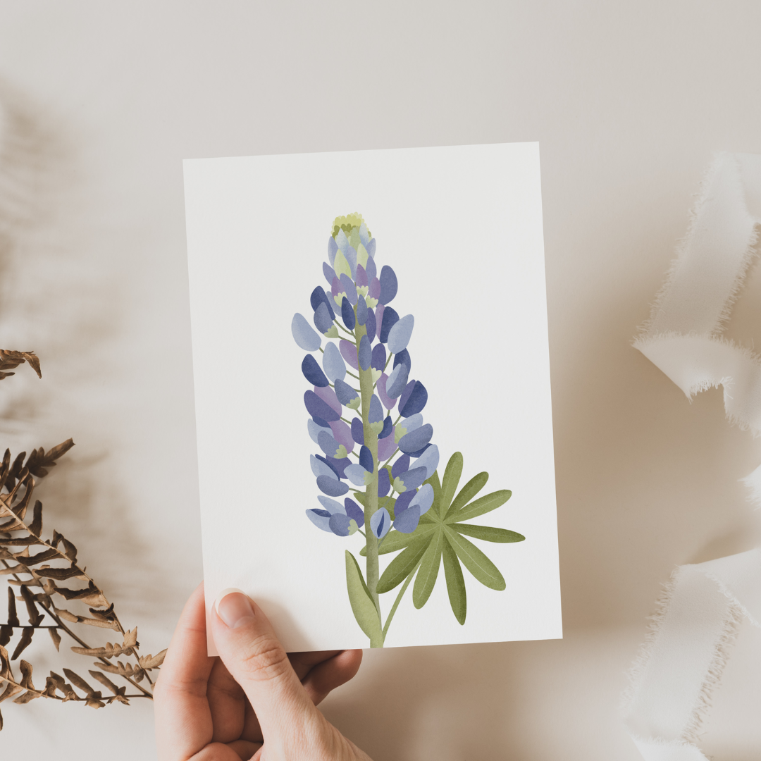 Tilda&Theo - Wholesale Postcard Set - Iceland postcard set - Scandinavia Iceland Greeting Card6