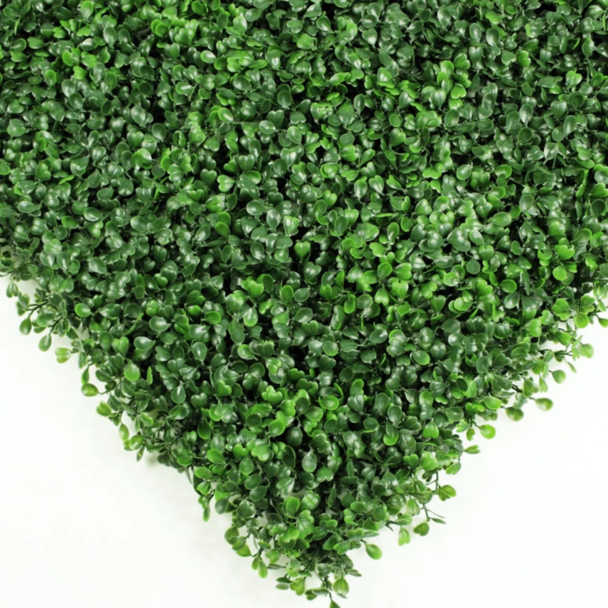 Designer Plants - Wholesale Artificial Plant - Dark Artificial Boxwood Wall 40" x 40" 11SQ FT Commercial Grade UV Resistant2