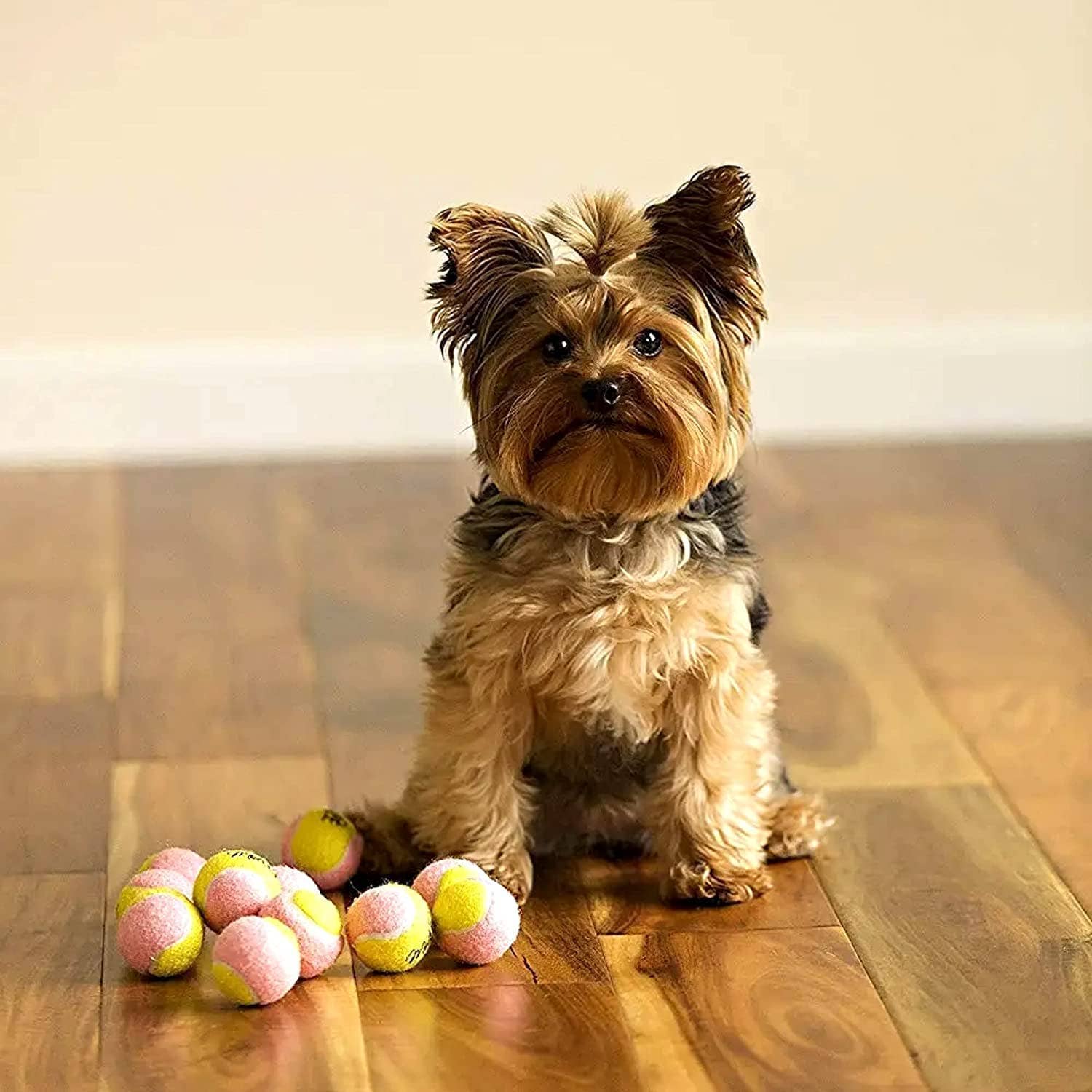 Midlee Designs - Wholesale Pet Fetch Ball - Dog - Midlee 1.5" Yellow and Pink Tennis Balls - 12 Pack3