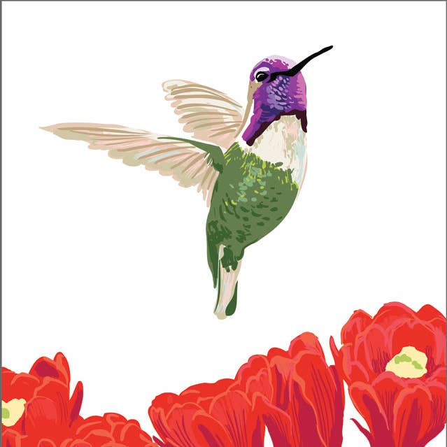 RBI-9172 Costa-Kolibri und Kaktus-Aufkleber für den Großhandel von Rigel Paper