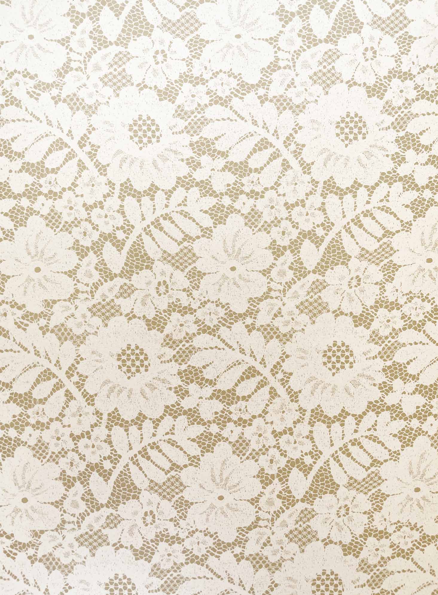 Imaginediy - Wholesale Knutselbenodigdheden - Chantilly kantpapier in koekje2