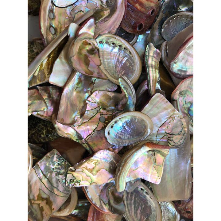 Pacific Rim Abalone - Wholesale Spiritual Stone/Crystal - Abalone Shell Tumbled Pieces - 10 lbs