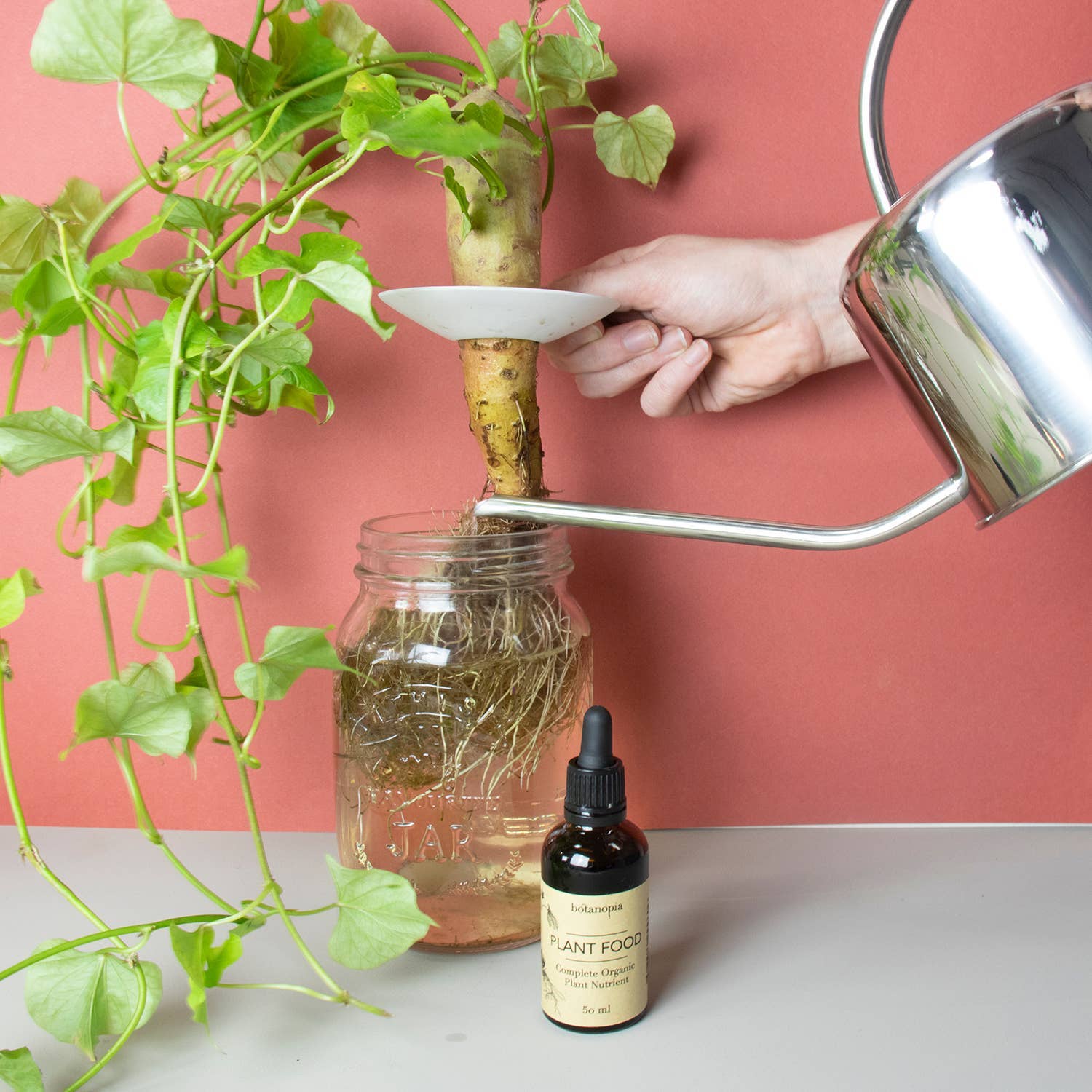 Botanopia USA - gifts , decor and cards for plant lovers - Wholesale Fertilizer - Complete Organic Plant Food -1.7 fl oz (50ml)8