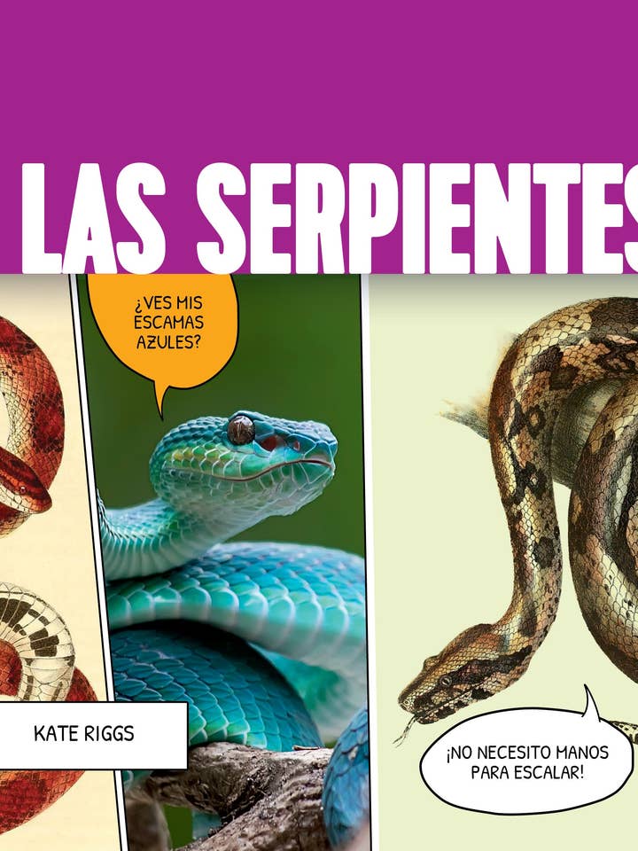 Las serpientes for wholesale by The Creative Company