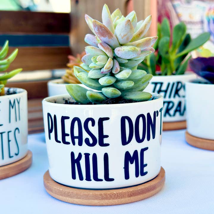 Peach Tree Design Shop - Wholesale Plant Pot - Funny Mini Planters, Punny Plant Pot, Cute Succulent Planter8