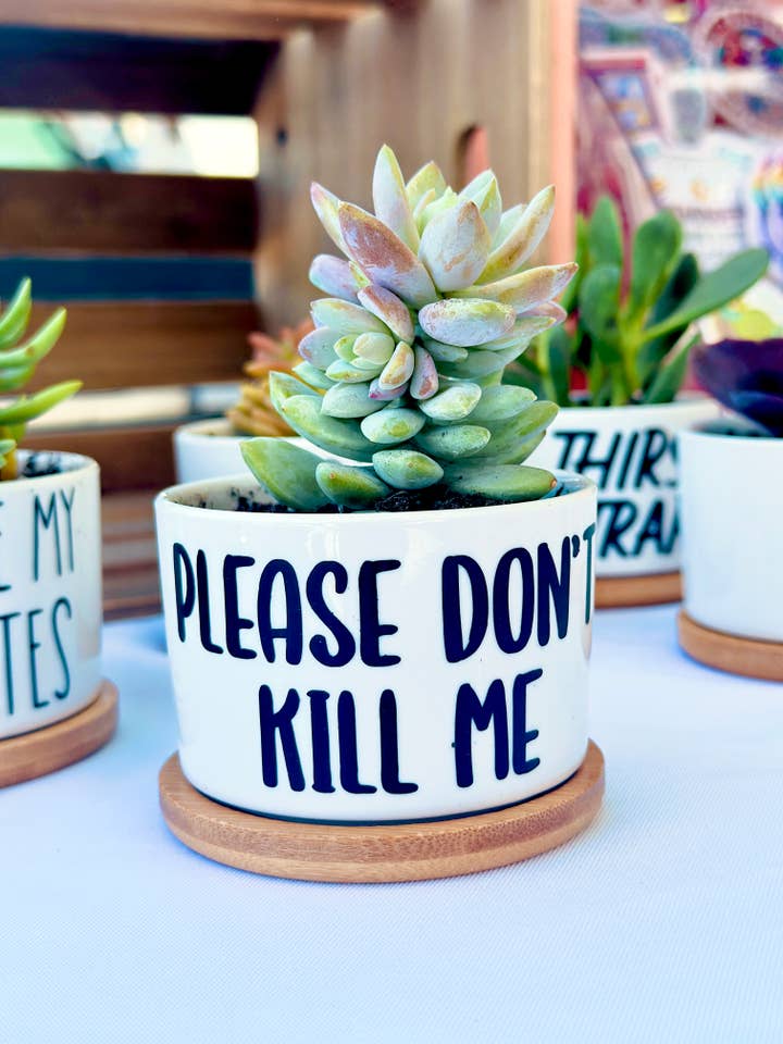Por favor, Não Me Mate Suculenta Vaso, Engraçado Mini Vaso de Planta por atacado de Peach Tree Design Shop