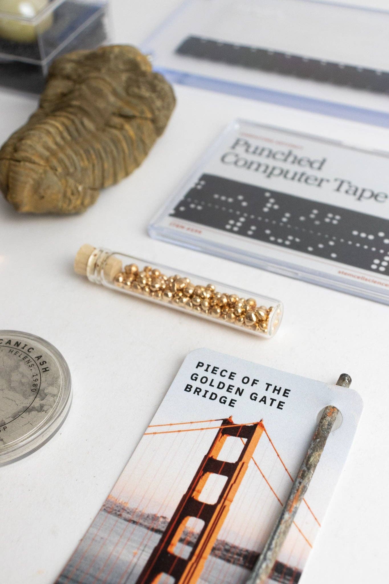 Stemcell Science Shop - Wholesale Decorative Tabletop Object - Wholesale Sample Box2