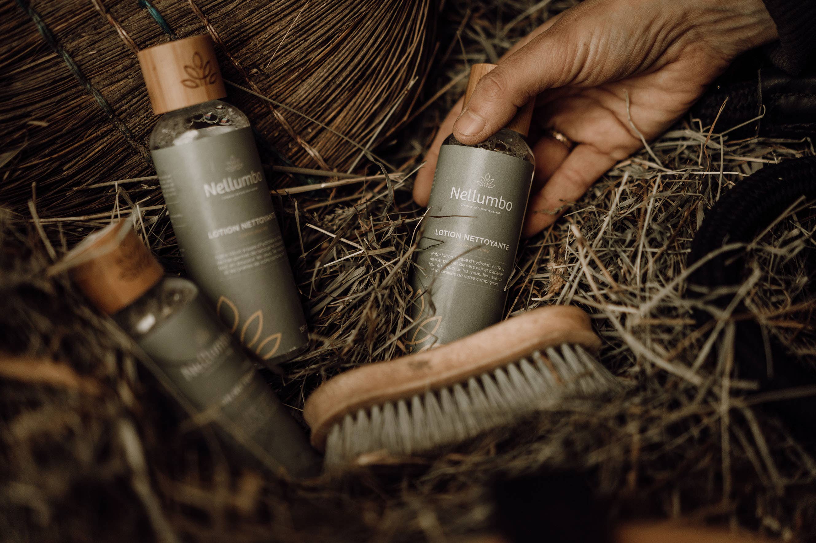 Nellumbo - Wholesale Horse Conditioner/Grooming Aid - Equine Care Pack - Standard Implementation (NEW PRODUCTS)6