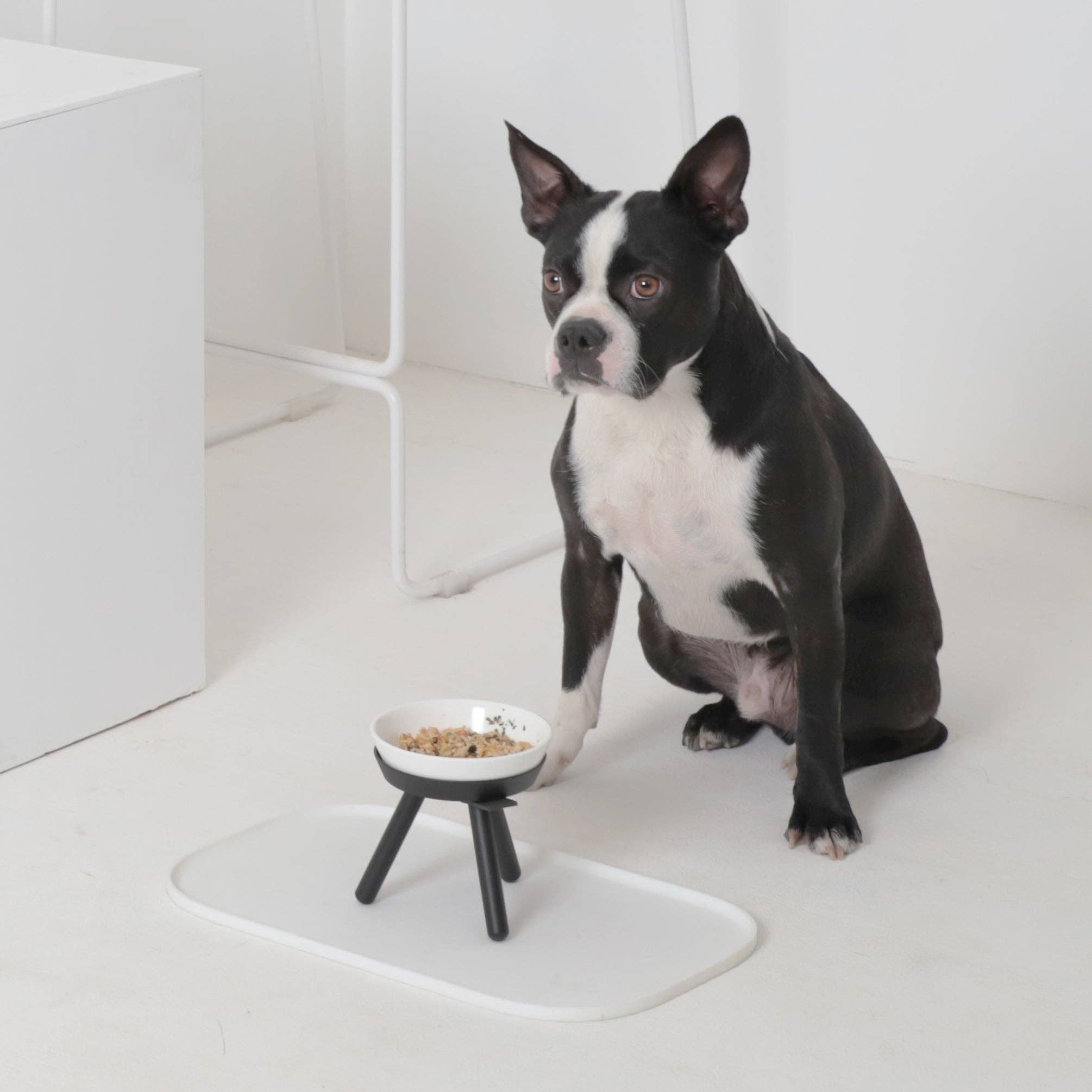 Pets So Good - Wholesale Pet Elevated Bowl - Cat/Dog - Oreo Elevated Pet Feeder Table . Black & White . Tall7