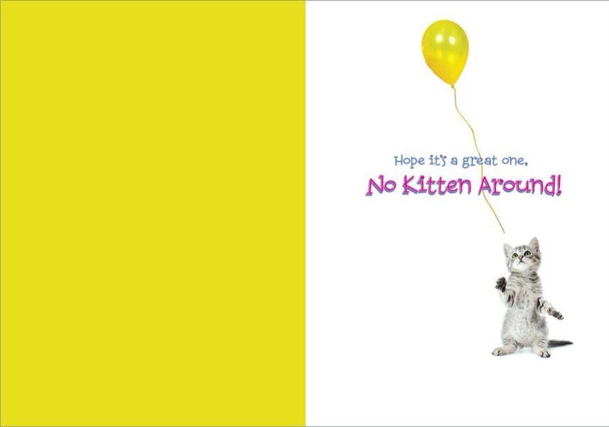 Paper House Productions - Wholesale Birthday Card - Birthday Kitten Foil Card1