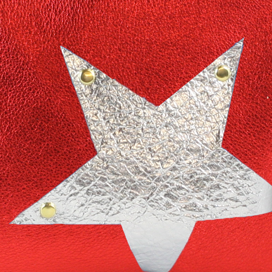 Zina Kao Exclusives - Wholesale Belt Bag - Women's - The Metallic Vail Hipbag w/Star Applique24