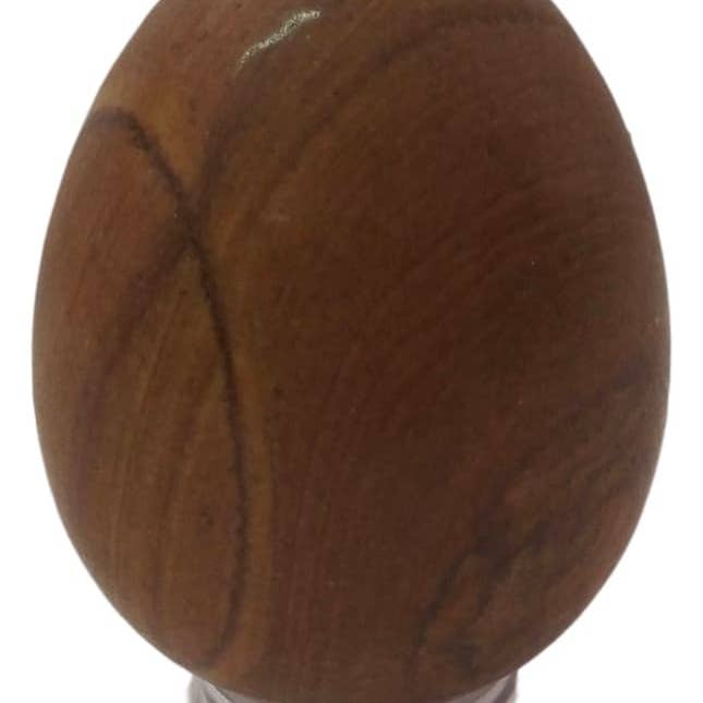 Fossil Wood Egg for wholesale by WLM