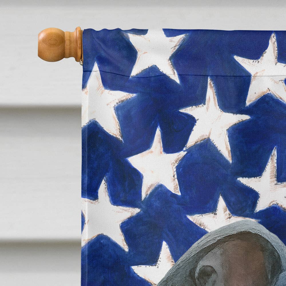Caroline's Treasures - Venta al por mayor Bandera y manga de viento - Bandera de Casa de Galgo Italiano Azul con Bandera Americana WDK62821