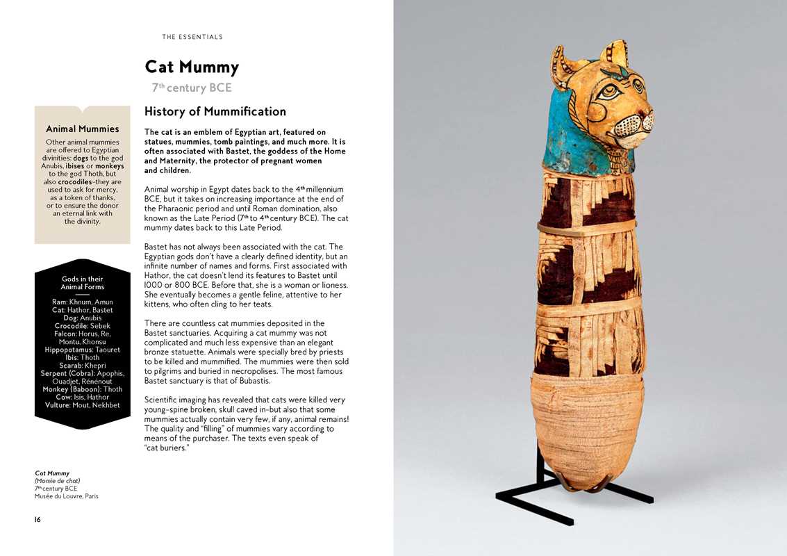 Simon & Schuster - Wholesale Arts & Entertainment - Cats in Art by Alix  Paré4