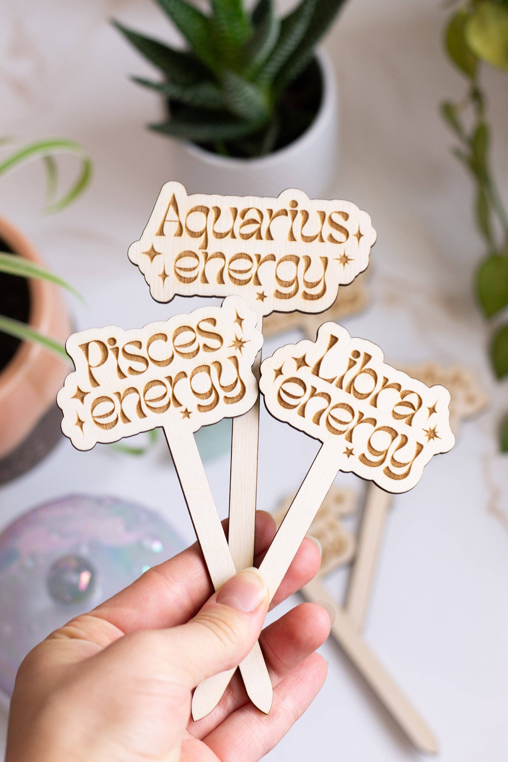 The Print Pantry - Wholesale Garden/Lawn Stake - Astrological Sign Wooden Plant Markers6
