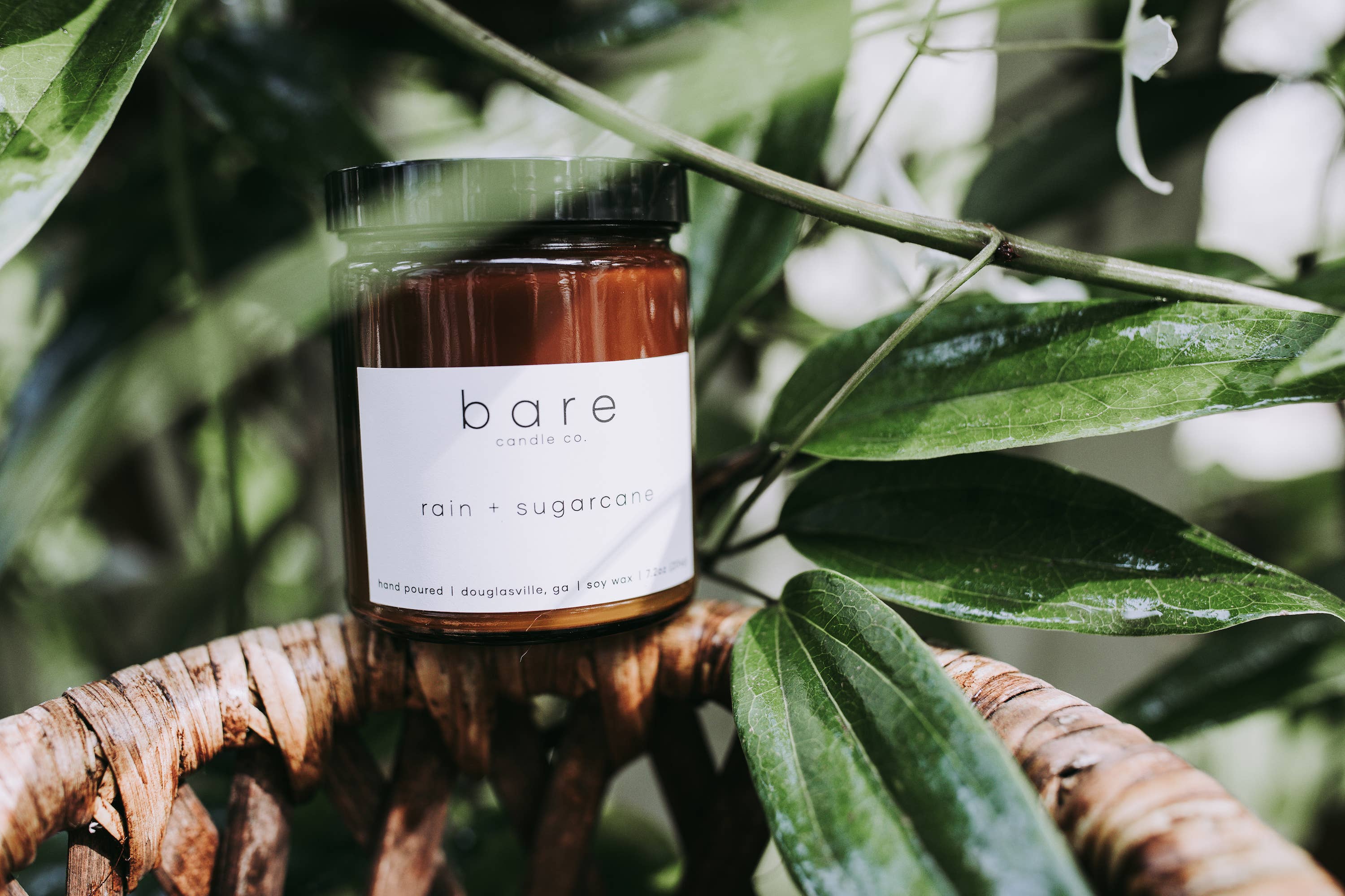 Bare Candle Company - Wholesale Jar/Filled Candle - Rain + Sugarcane Soy Candle 7.2oz1
