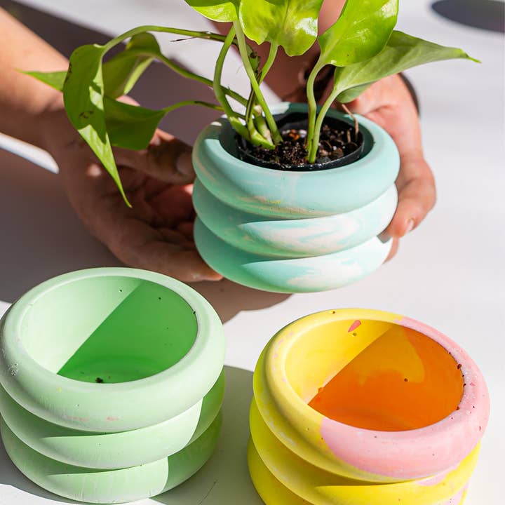 The Plant Committee - Wholesale Plant Pot - Mini Bubble Pot