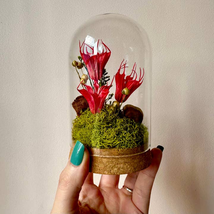 Large Botanical Glass Terrarium Jar w. Red Dried Florals for wholesale by CA Studios