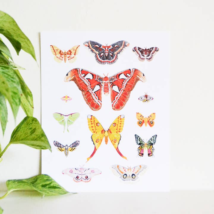 Moth Arter 8x10 Art Print for engroshandel hos Laura King Paints