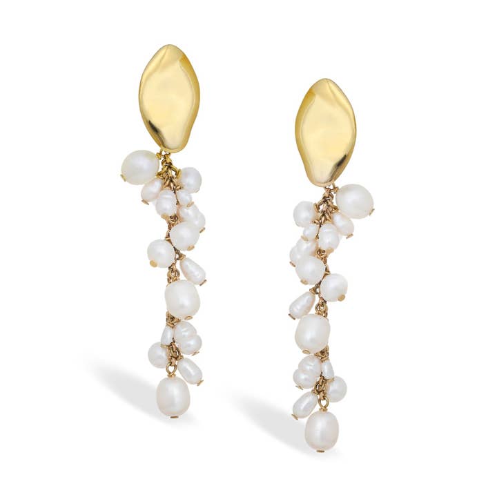 Irida por atacado de Golden Monstera