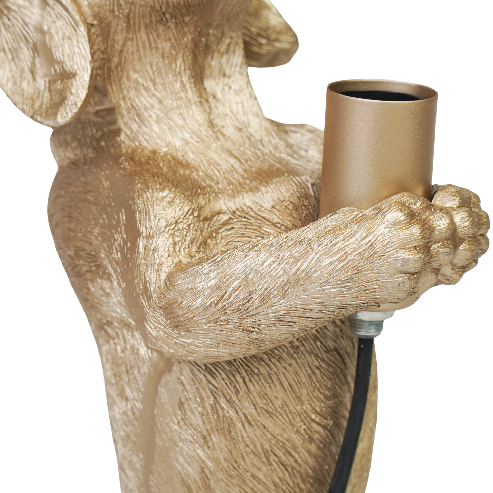 Housevitamin bv - Wholesale Figurine Lamp - Table Lamp - Dachshund Lamp - Polyresin - Gold - E14 - 10x15x38cm5