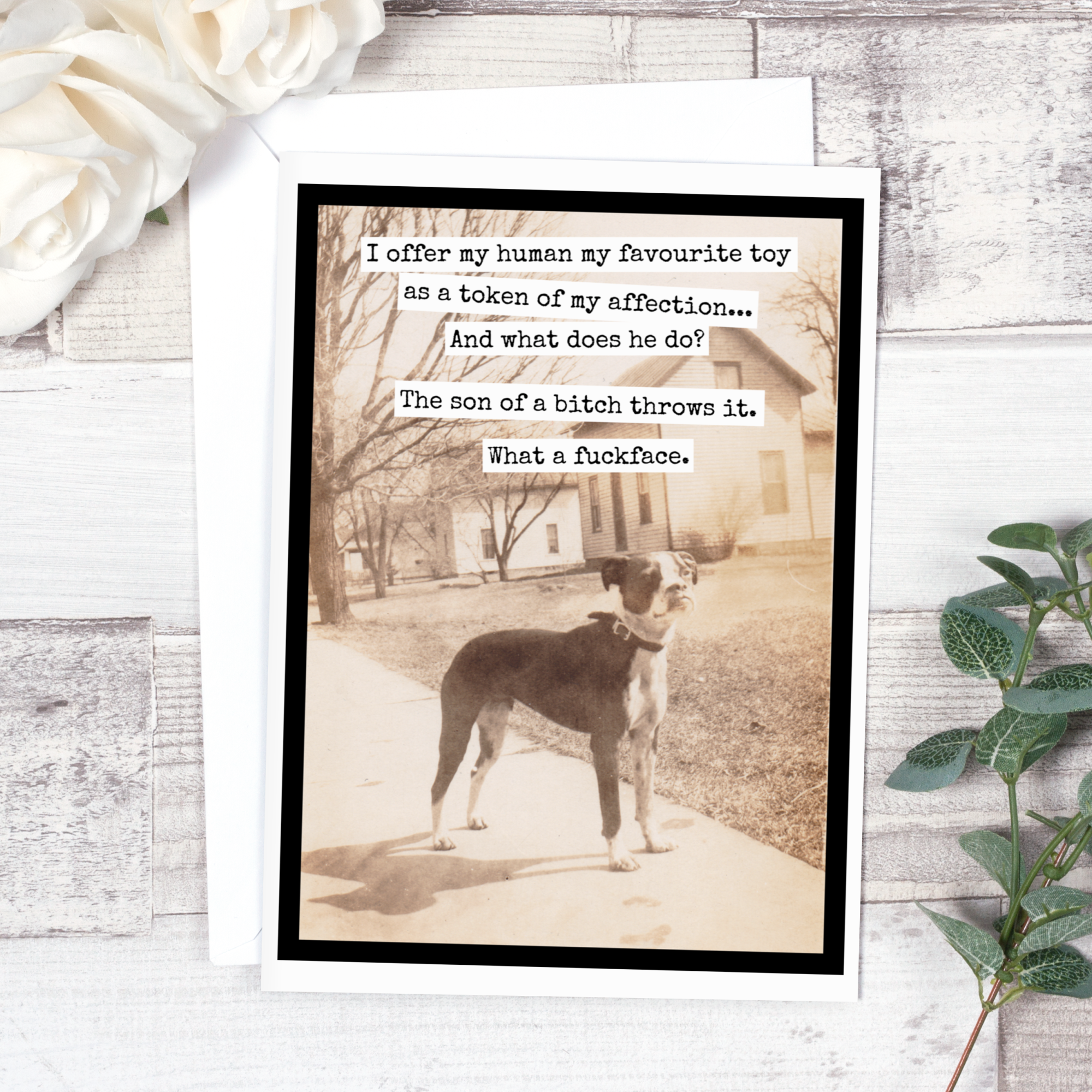 Raven's Rest Studio - Wholesale Gewone wenskaart - Ik bied mijn mens mijn favoriete speeltje aan...1