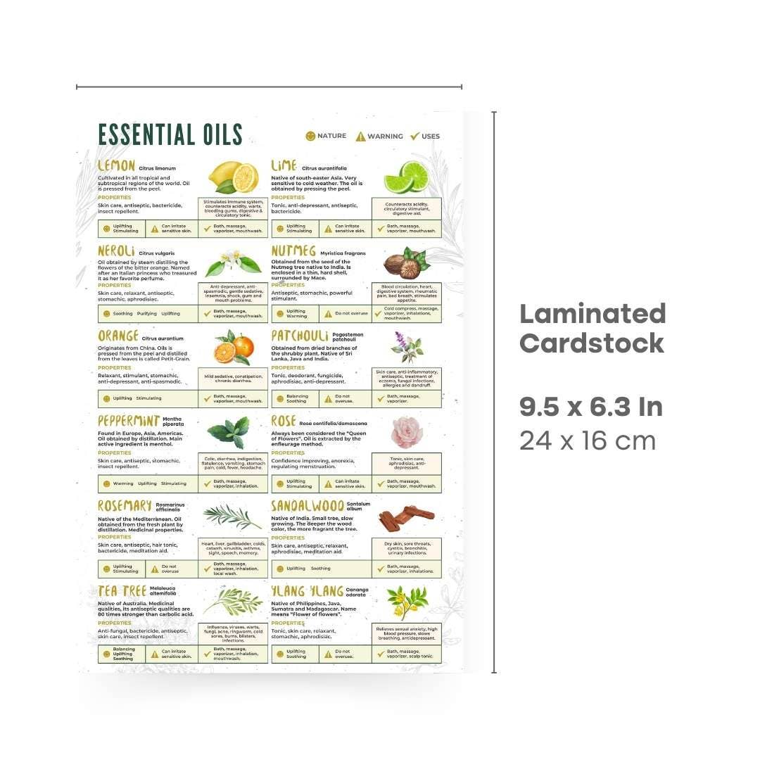 Stonebridge Imports - Vendita all'ingrosso Riferimento - Guida Rapida 2.0 - Oli Essenziali1