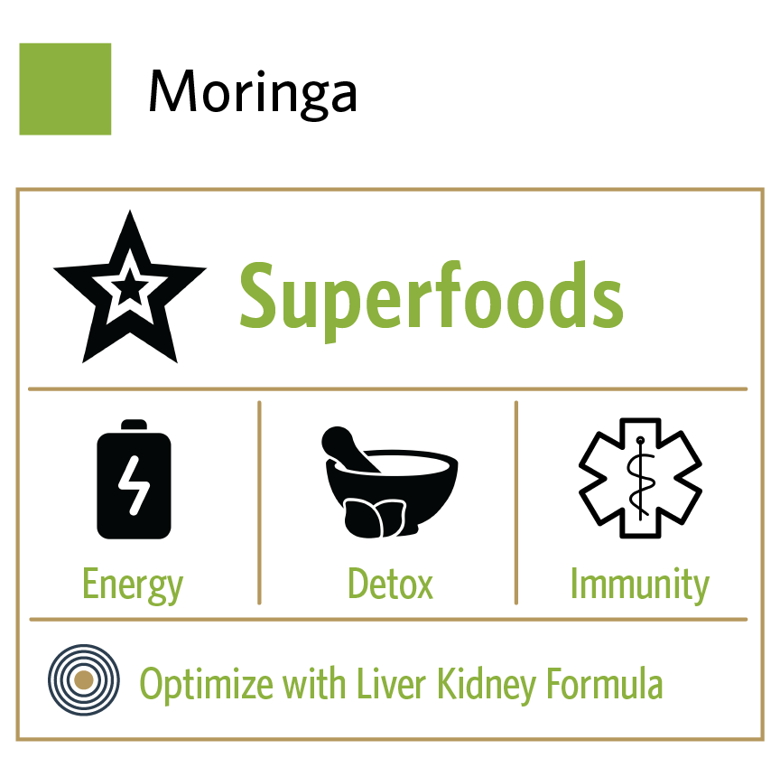 ORGANIC INDIA - Wholesale Protein/Superfood Powder - Moringa2