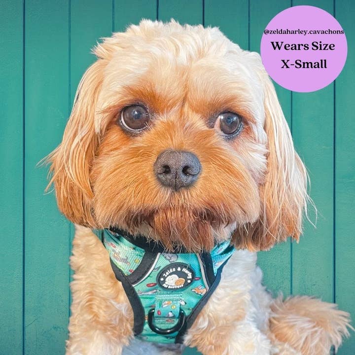 Zoomies - Adventure No Pull Harness for wholesale by Zelda & Harley | The Dog Mom Store