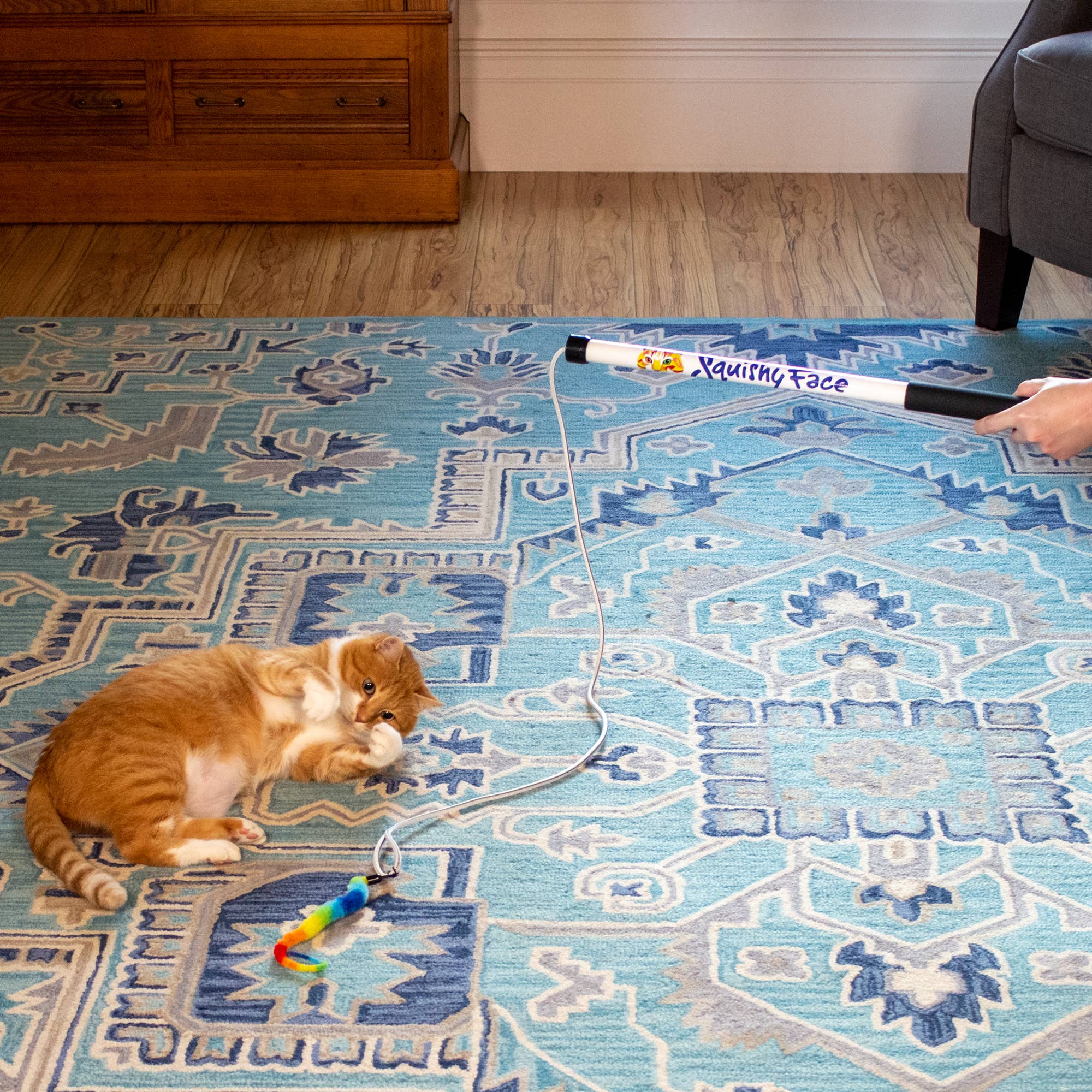 Squishy Face Studio - Wholesale Speeltje - Kat - Squishy Face Studio Tough Teaser Katten Speelgoed met 2 Lokmiddelen6