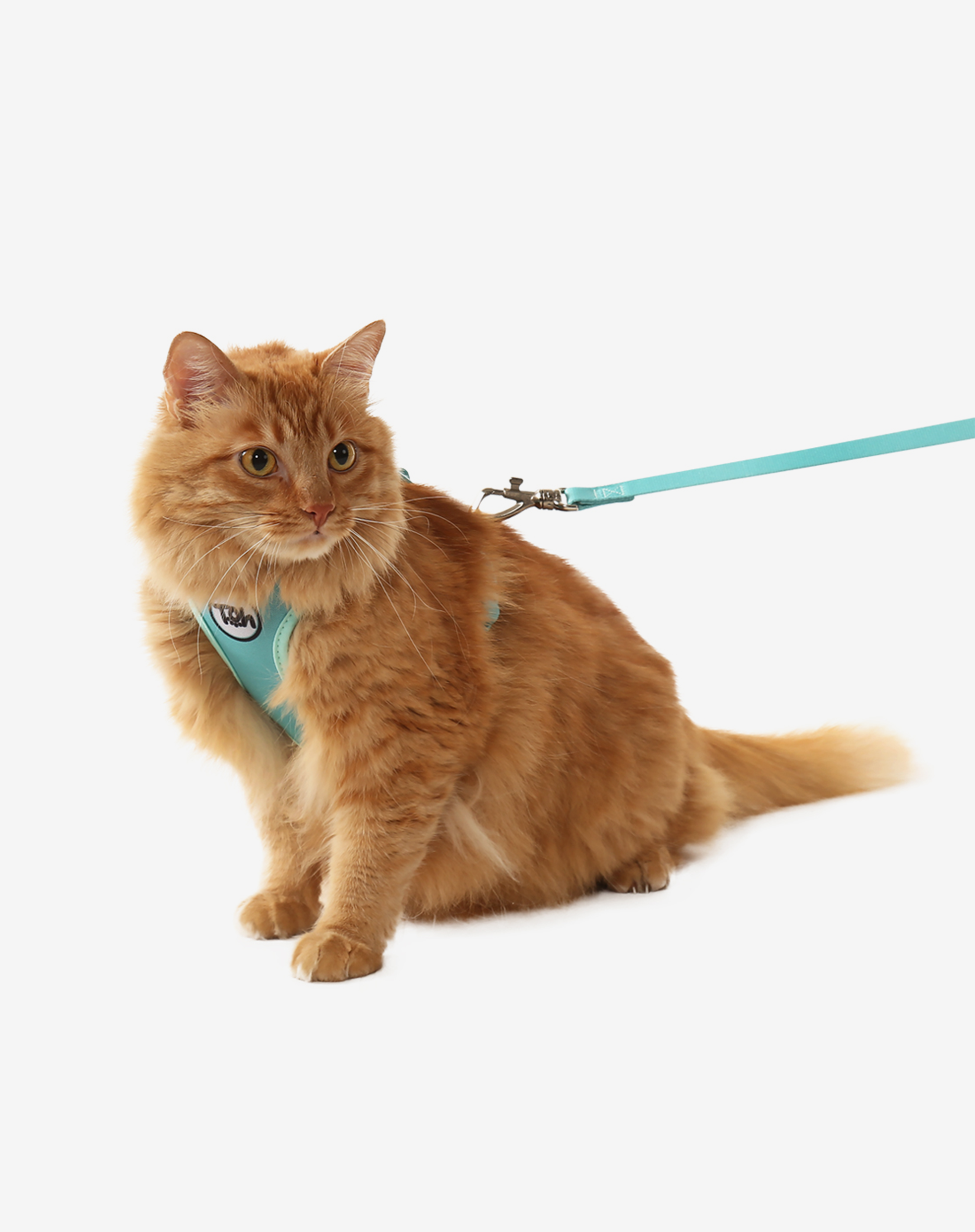Toh – Arnês – Gato por atacado – Cat H-Harness Comfort + Leash Set Maresia2