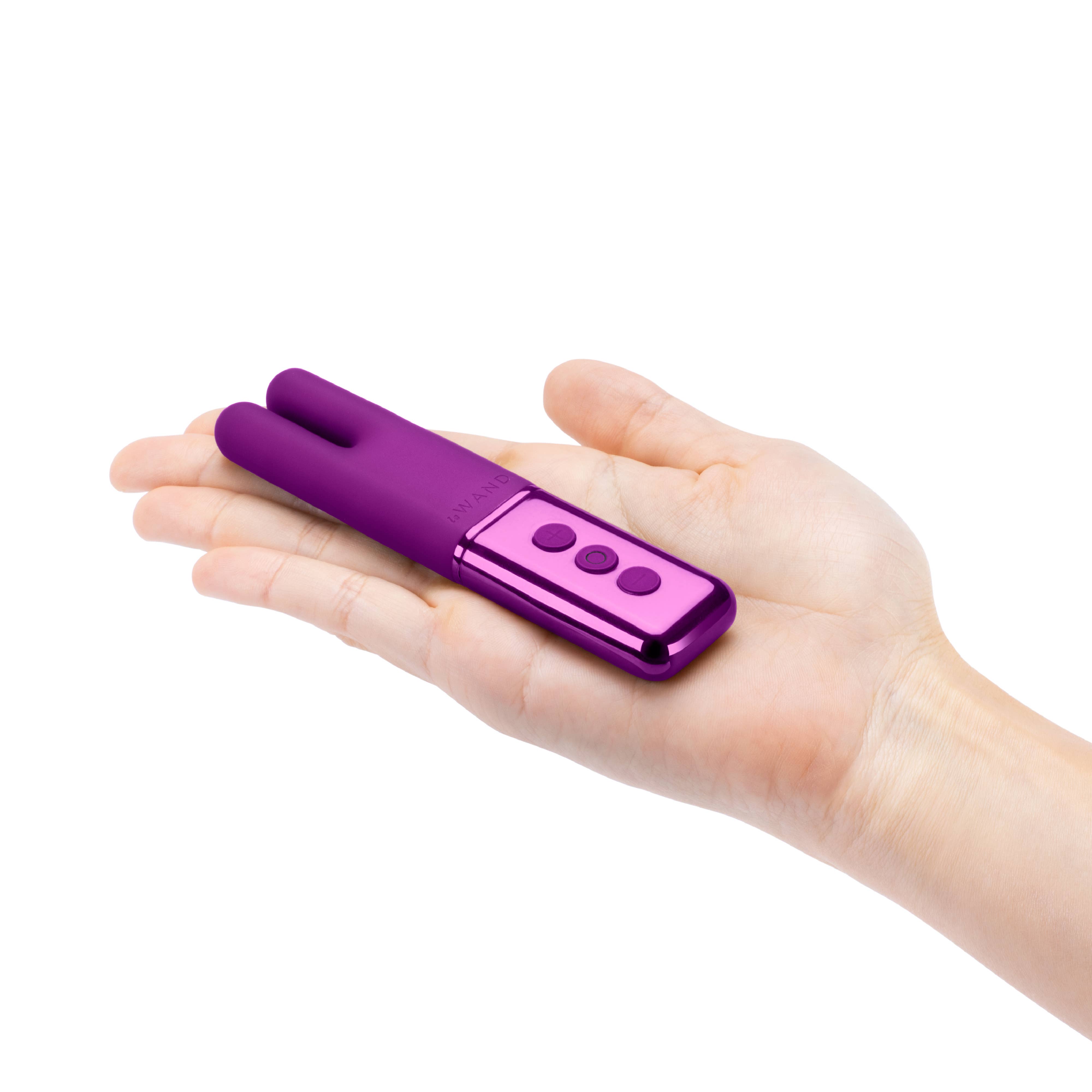 LE WAND - Wholesale Sex Toy - Le Wand Deux12