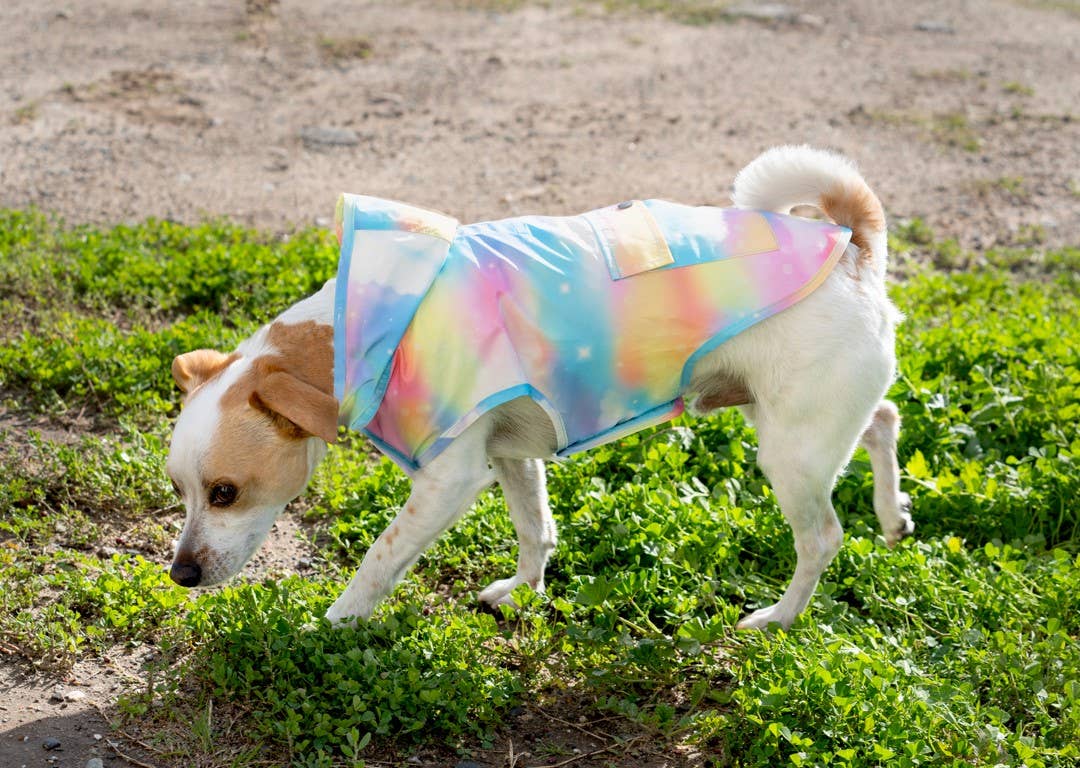 Canada Pooch - Wholesale Pet Poncho - Dog - Pick Me Poncho (New Prints)- Dog raincoat4
