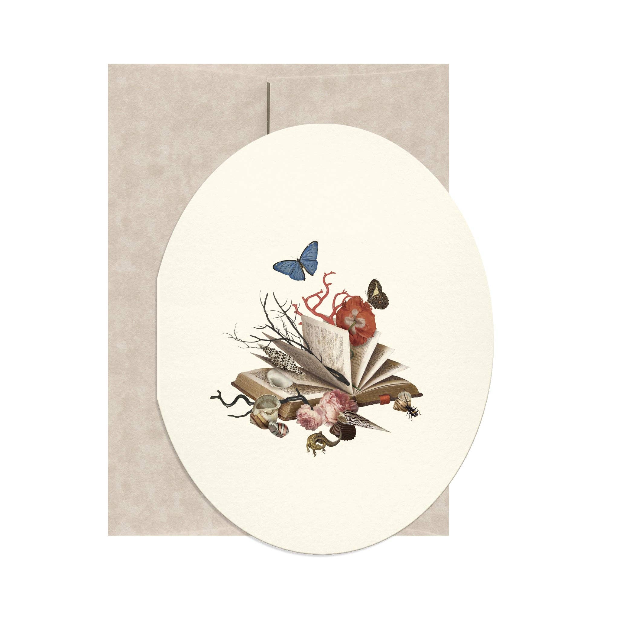 Open Sea - Wholesale Everyday Greeting Card - Sea Tales0