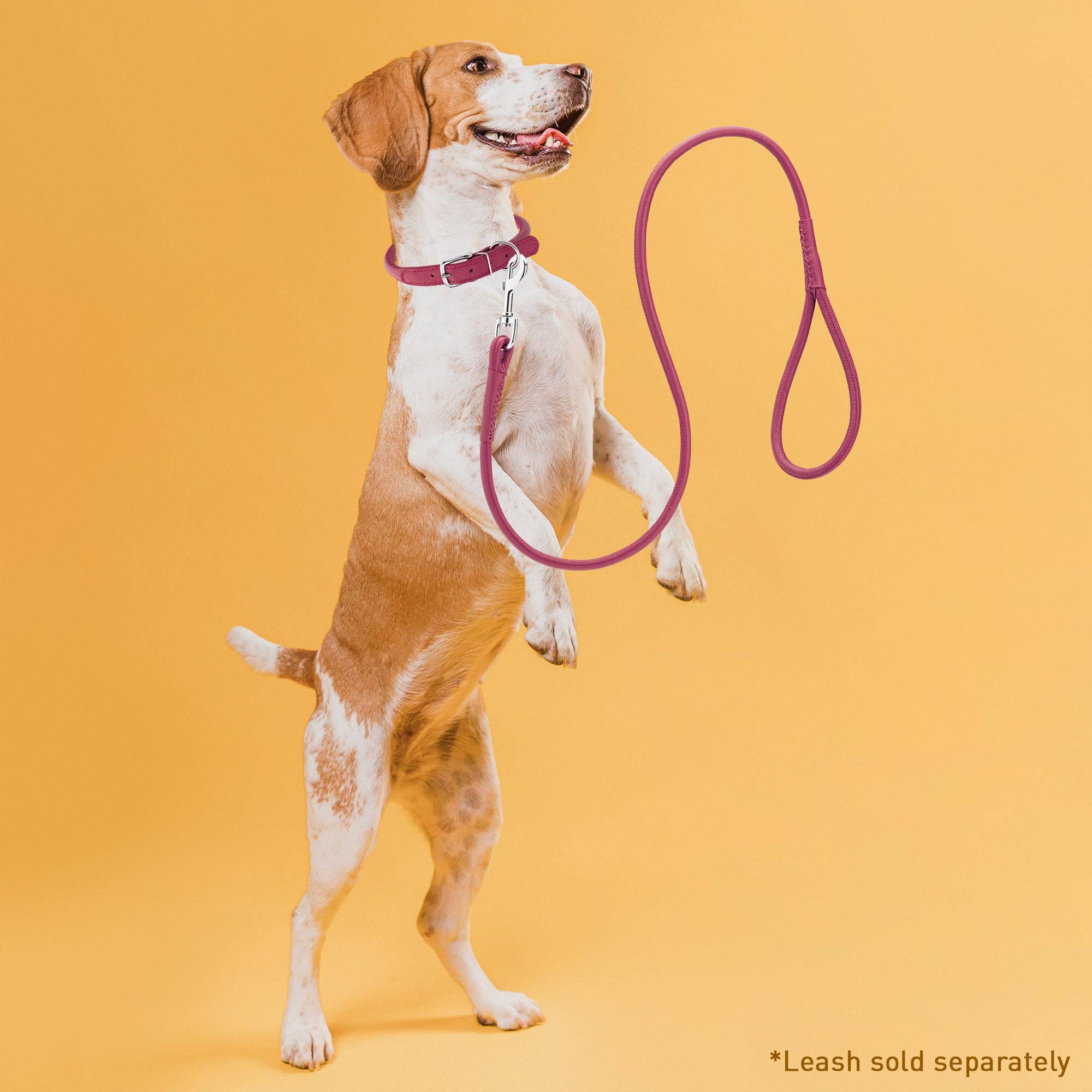 Dogline - Wholesale Halsband - Hond - Zachte Leren Halsband Rond6