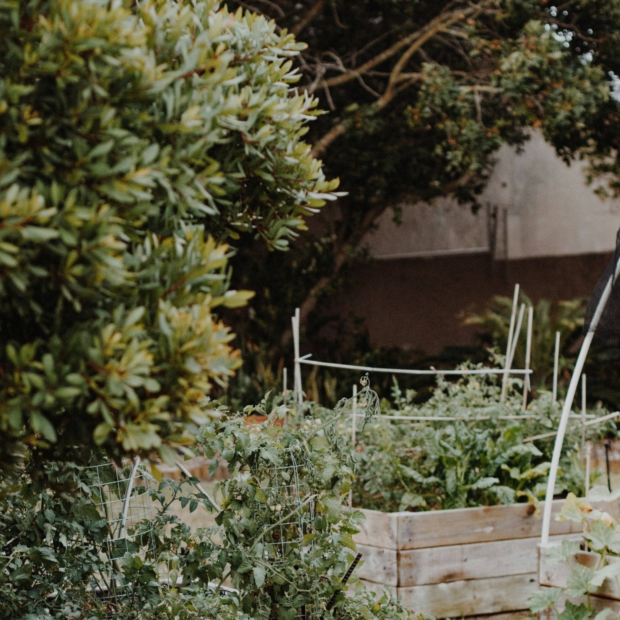 Three More Days Collection - Wholesale Room & linen spray - GRANDMA'S GARDEN: WHITE MUSK / BASIL / NEROLI / BERGAMOT ROOM SPRAY1