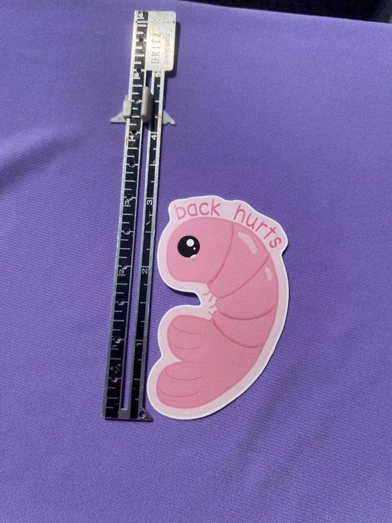 AstroManatee Shop - Wholesale Sticker - Shrimp Back Hurts 2.5” Waterproof Sticker8